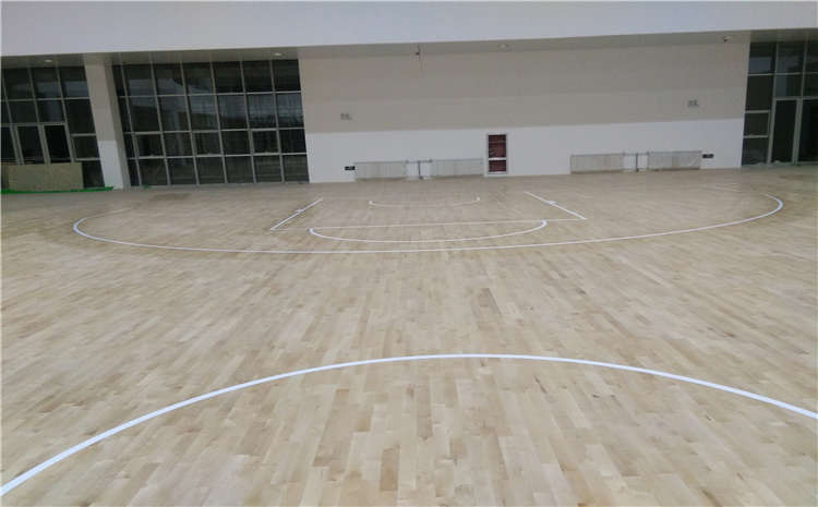 楓樺木籃球場木地板設計方案