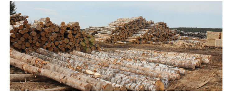 河南籃球館運動木地板施工團隊