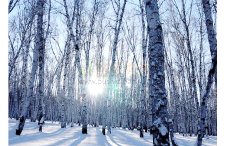 河南籃球館運動木地板施工團隊