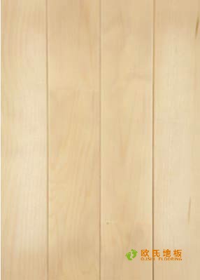 體育館楓樺木地板