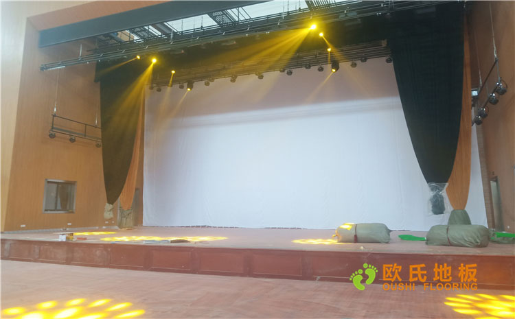 福建漳州市一職業學院體育館木地板案例